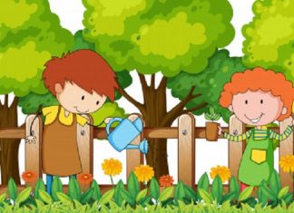 Kako načrtovati in urediti vrt?