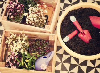 Nasveti za balkonsko vrtnarjenje