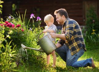 Nasveti za zeleno vrtnarjenje: zatočišče za vas in naravo