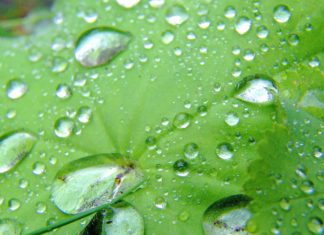 Naložbene strategije in investicije v okolje