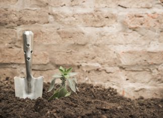 Čas je za (zimski) počitek vašega vrta