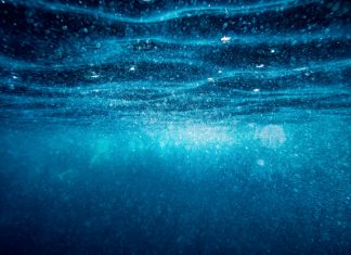 Razvoj tehnologije za čiščenje rek in oceanov