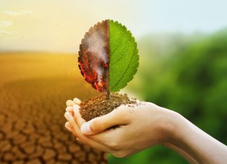 Kako bodo podnebne spremembe vplivale na naš prehranski sistem?