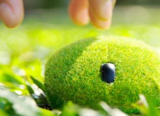 Microsoftova ekološka računalniška miška