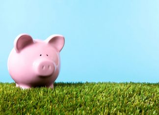 Kako svoje finance spremeniti v okolju prijazne?