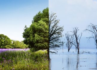 Vreme vs. podnebje: Kakšna je razlika?