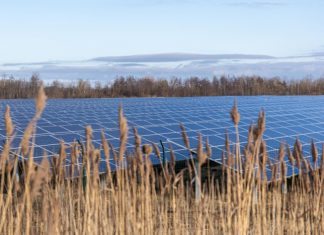 Katera evropska država je vodilna na področju obnovljivih virov energije?