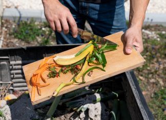 Kako kompostirati in zakaj je to dobro za okolje