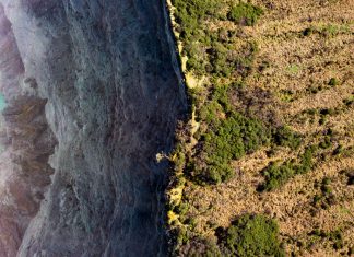 Smo na pragu še enega množičnega izumrtja?