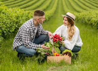 10 dejstev o ekološki hrani, ki jih gotovo še niste vedeli