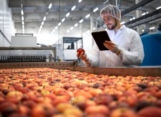 Krožno gospodarstvo: velika odgovornost za globalna podjetja