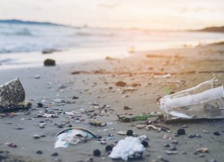 Nov biomaterial bi lahko rešil naše oceane pred onesnaževanjem s plastiko