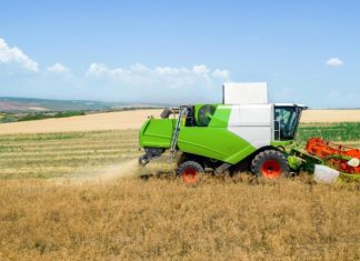 Naravno gnojenje s človeškim urinom kot alternativa kemičnim gnojilom