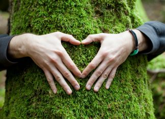 Biomasa: Trajnostni vir energije za prihodnost?