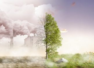 Kaj v resnici onesnažuje okolje?