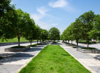 Urbane zelene oaze za boljše počutje ljudi in ohranjanje okolja