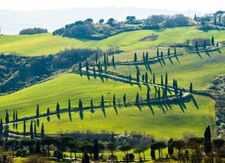 Najboljših 7 destinacij trajnostnega ekoturizma – med njimi tudi Slovenija