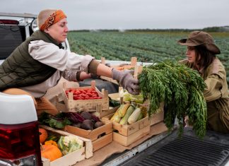 5 najbolj zanimivih ekovasi na svetu
