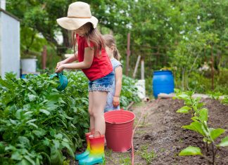 5 najboljših nasvetov za vrtnarjenje v poletni vročini