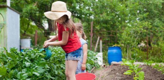 5 najboljših nasvetov za vrtnarjenje v poletni vročini