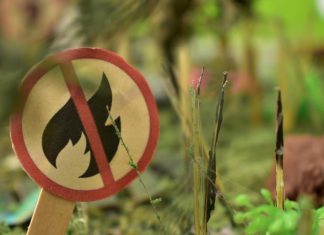 Škodljive posledice kurjenja odpadkov v naravi – pravila in kazni