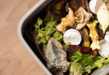 Slovenski študenti z umetno inteligenco razvili rešitev proti zavrženi hrani