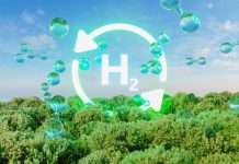 Umetna fotosinteza – revolucija v proizvodnji in shranjevanju energije