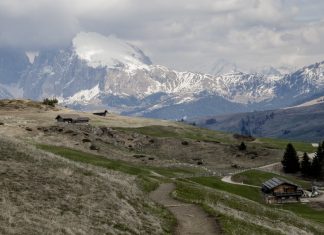 Sneg v Alpah izginja – posledice tudi v Sloveniji