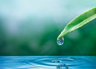 Takšno je stanje vodnih virov v Evropi