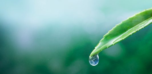 Takšno je stanje vodnih virov v Evropi